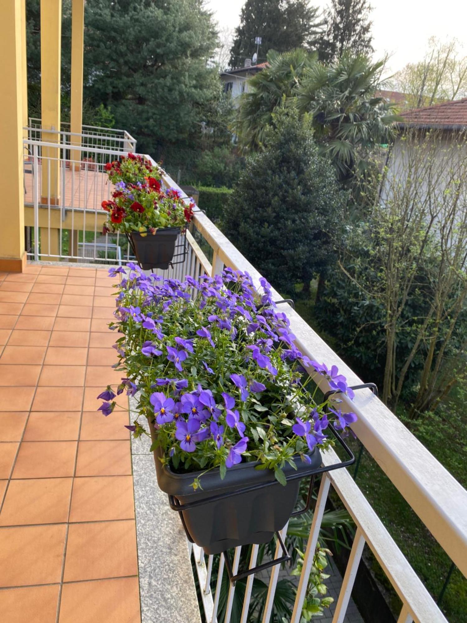 Appartamento Anna Lungo Fiume - Lago Maggiore Sesto Calende Buitenkant foto